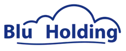 BluHolding Logo